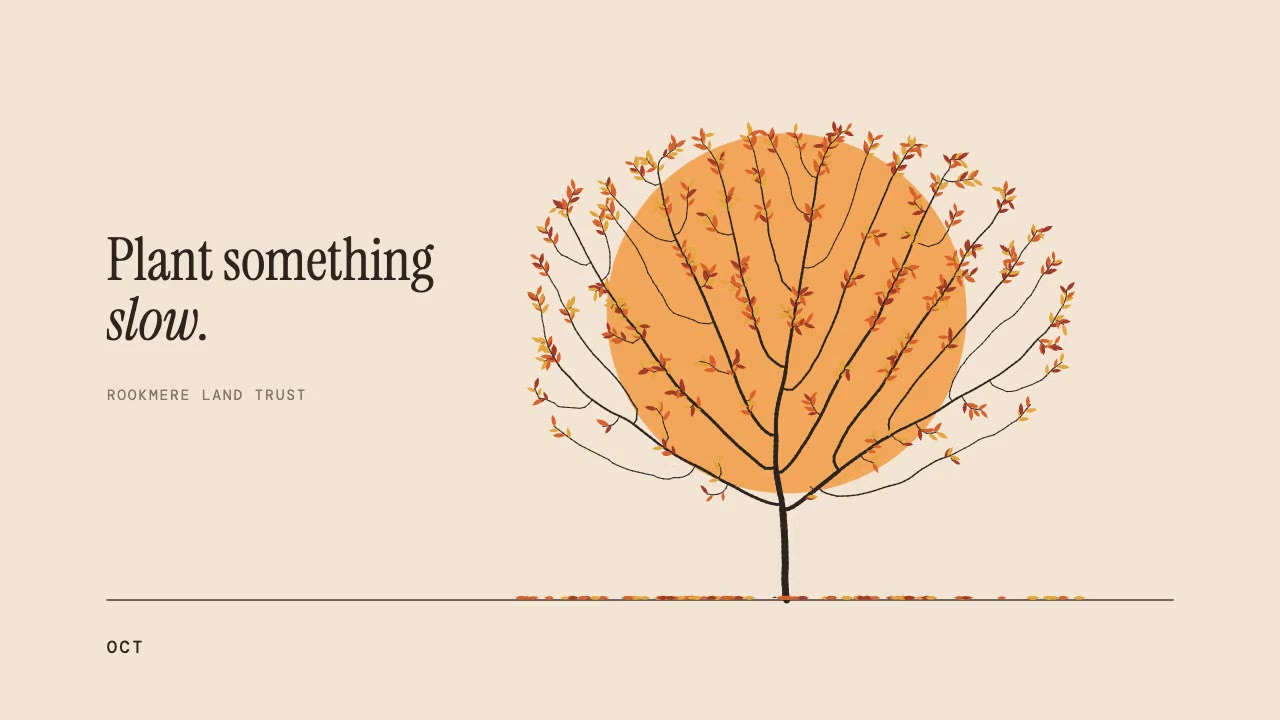 Growing Tree: line art animation made with Claude