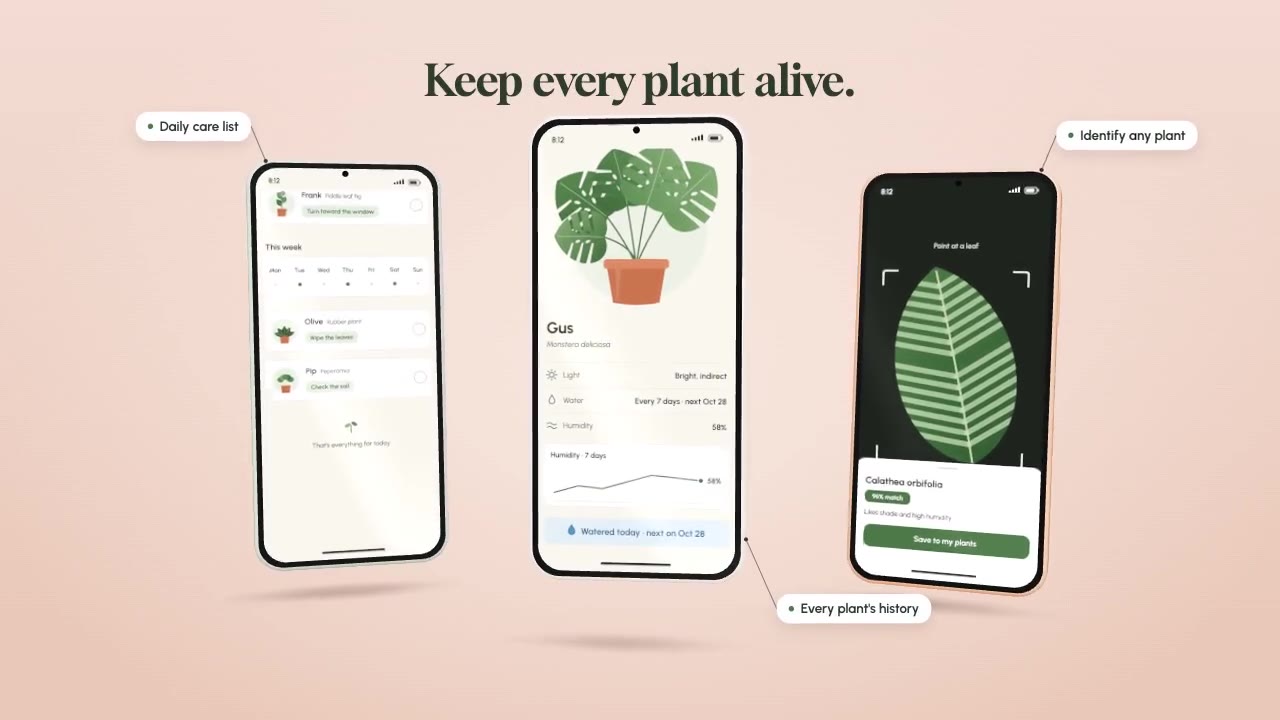 Three Phone App Promo: saas promo animation made with Claude