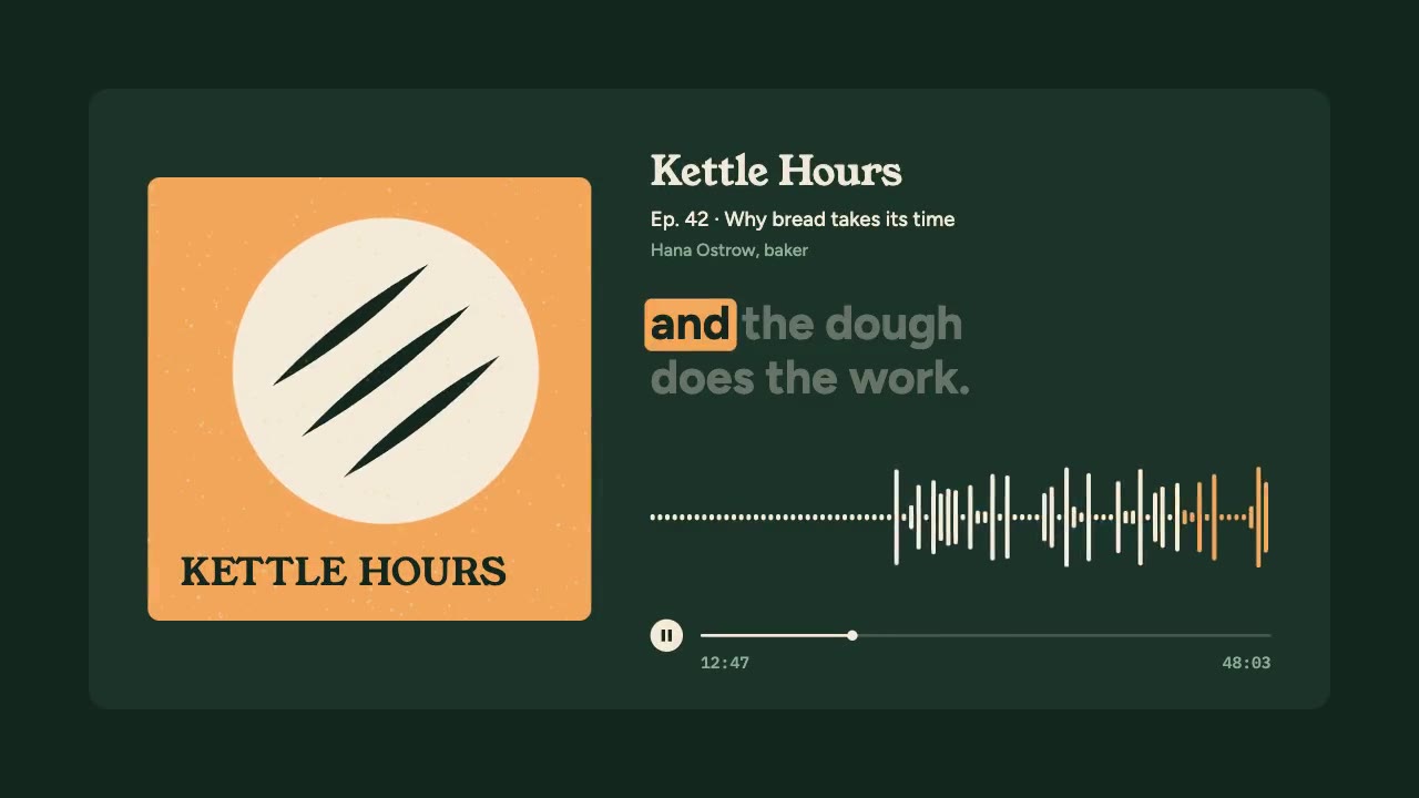 Still from Podcast Audiogram